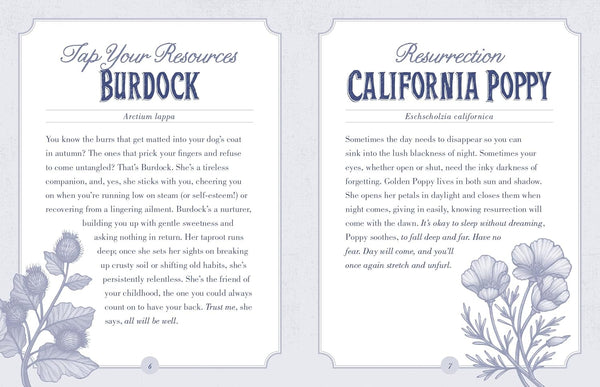 The Illustrated Herbiary Oracle Cards