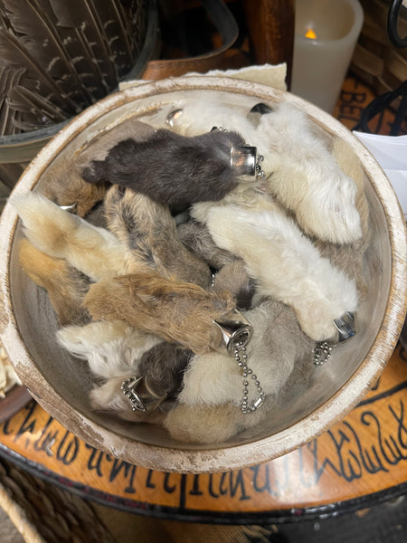 Lucky Rabbit’s Foot