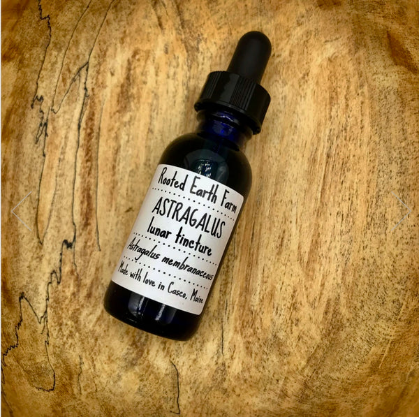 Astragalus Root Tincture