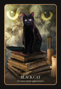 The Halloween Oracle