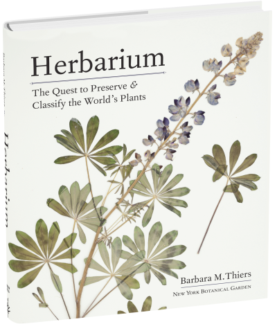 Herbarium The Quest to Preserve and Classify the World’s Plants