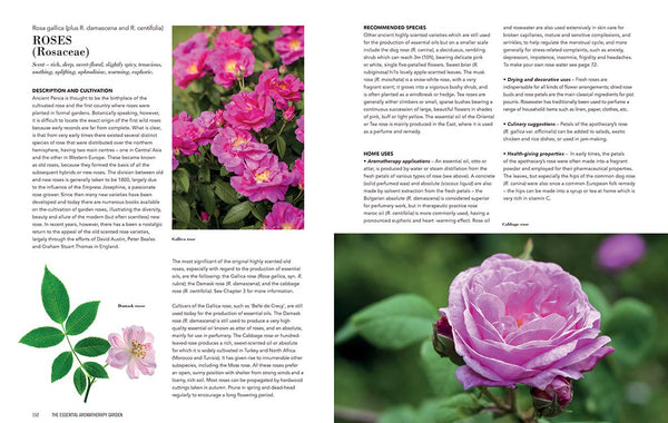 The Essential Aromatherapy Garden: Growing and Using Scented Plants and Herbs