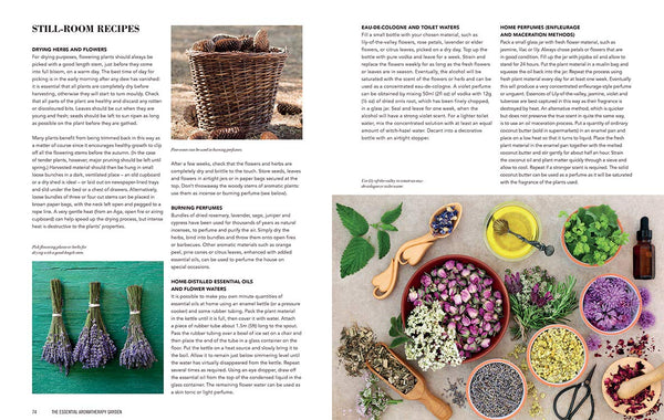 The Essential Aromatherapy Garden: Growing and Using Scented Plants and Herbs