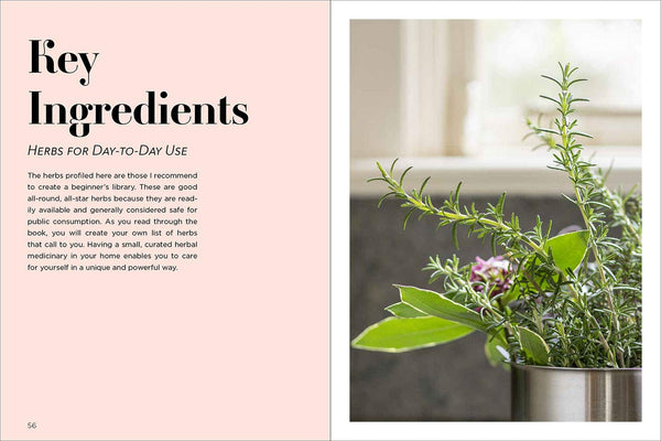 Medicinal Herbs for Family Health and Wellness