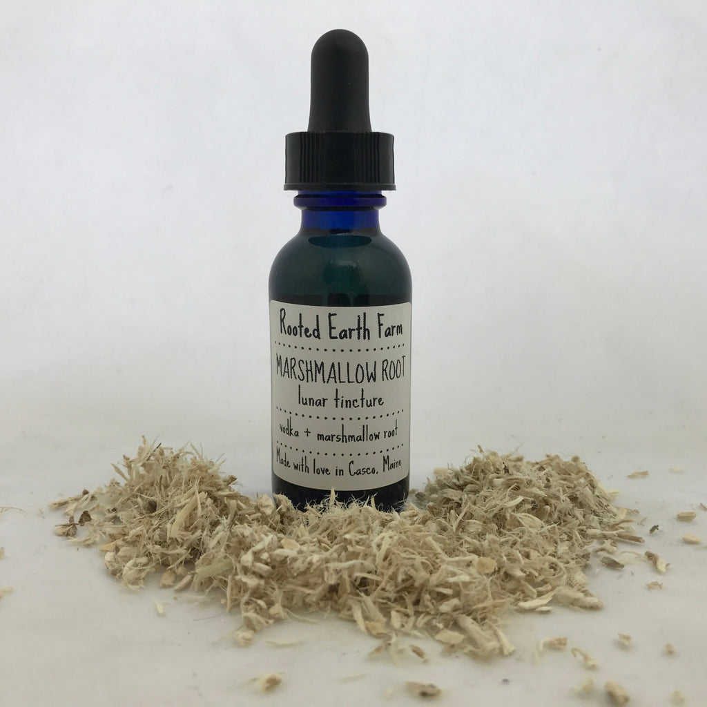 Organic Marshmallow Root Tincture