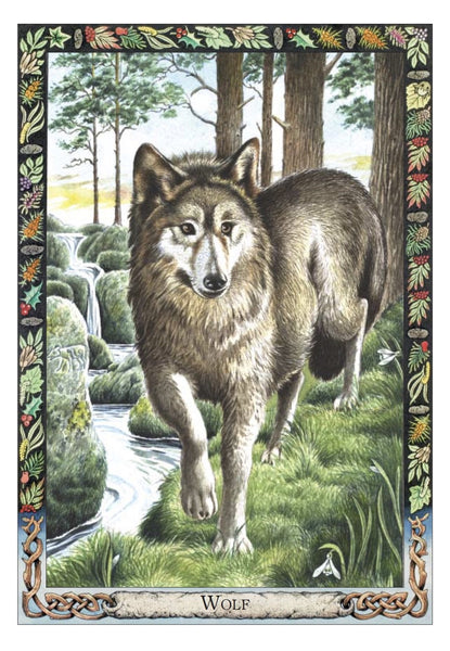 Druid Animal Oracle Deck
