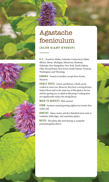 276 Edible Wild Plants of the United States and Canada