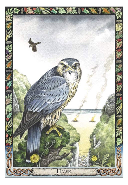 Druid Animal Oracle Deck