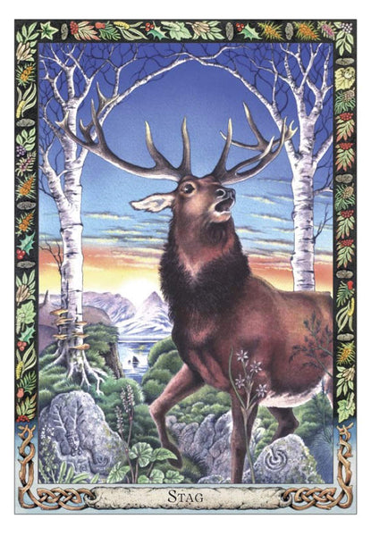 Druid Animal Oracle Deck