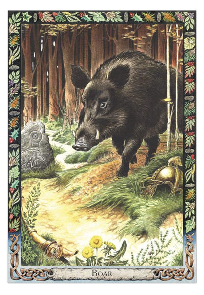Druid Animal Oracle Deck