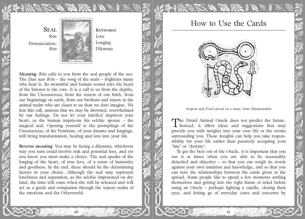 Druid Animal Oracle Deck