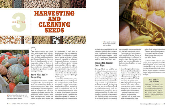 The Complete Guide to Saving Seeds