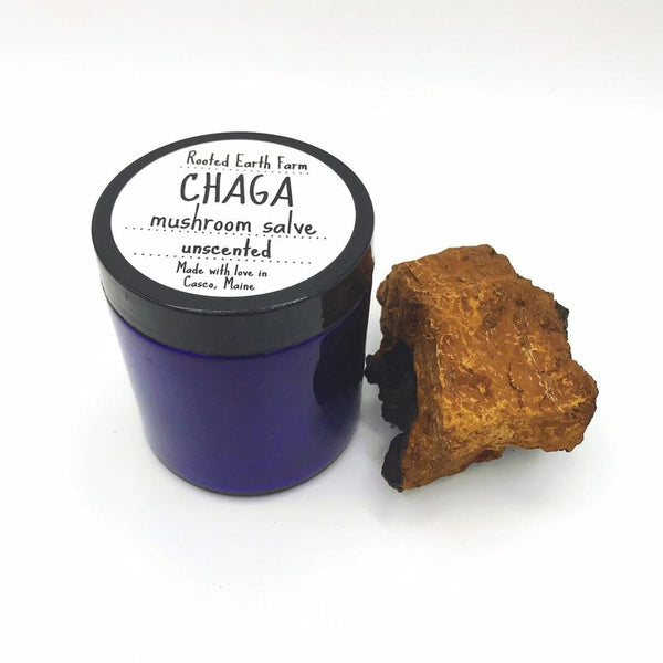 Chaga Salve