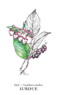 Hedgewitch Botanical Oracle Cards