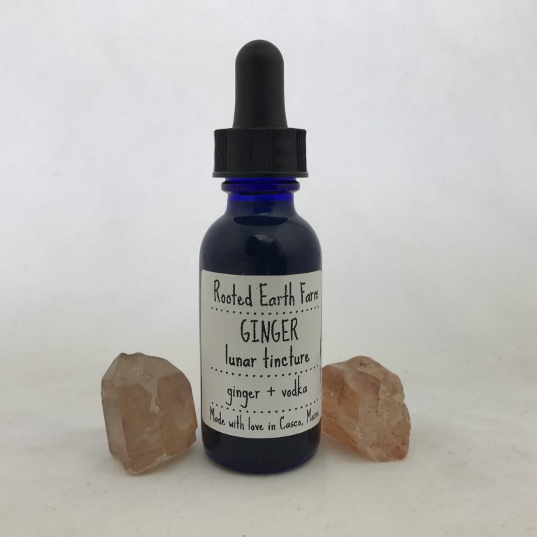 Organic Ginger Tincture
