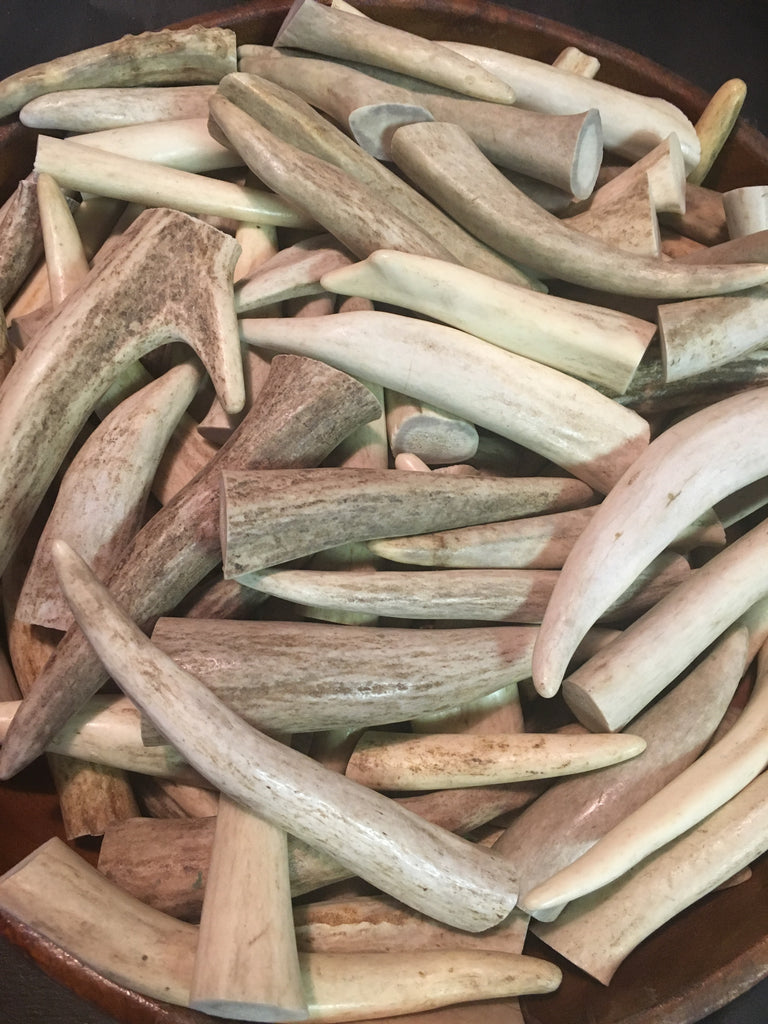 Deer Antler Tips