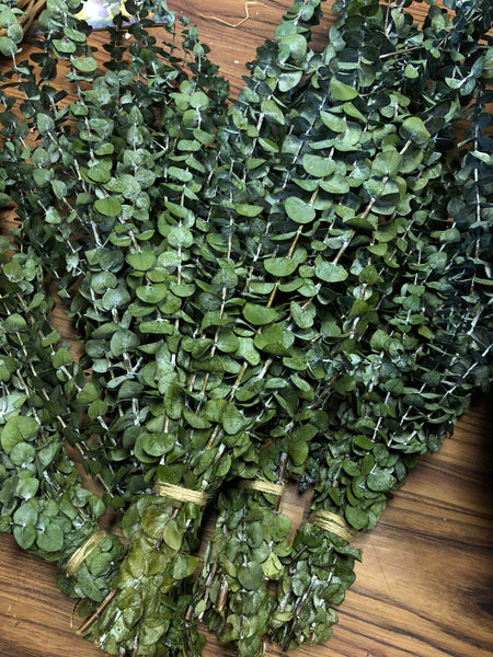 Eucalyptus - Large Bundle - Basil Color