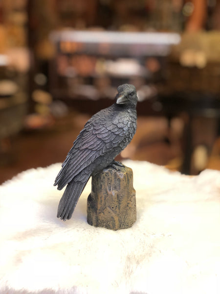 Perched Backward Looking Raven Statue