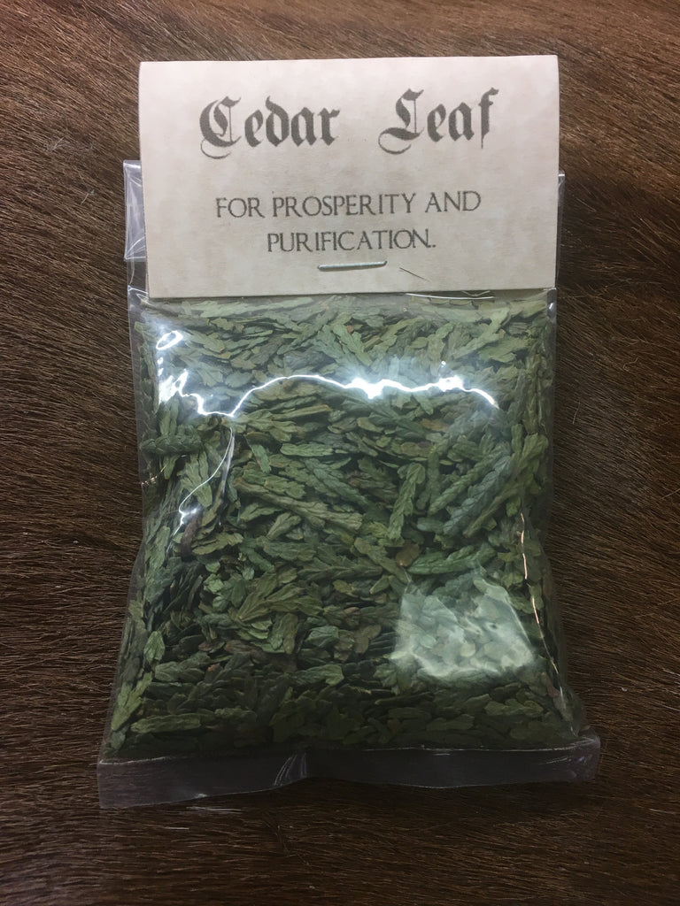 Cedar Leaf