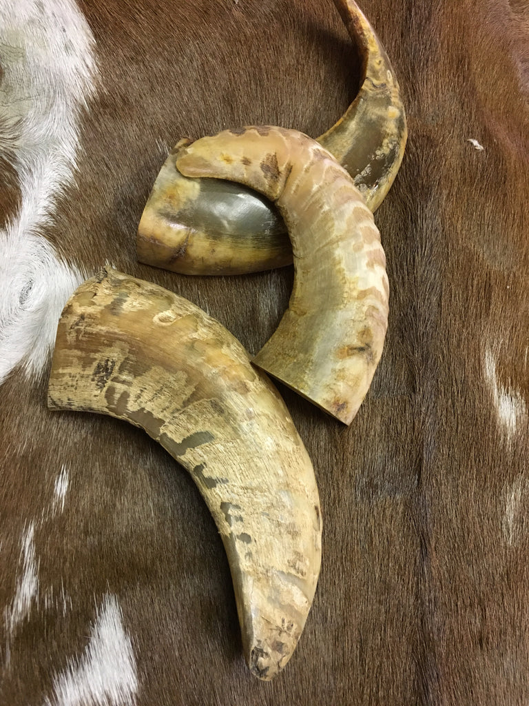 Sheep Horns