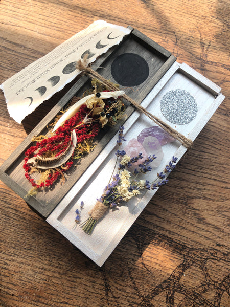 Good Witch/Bad Witch Magical Box Set