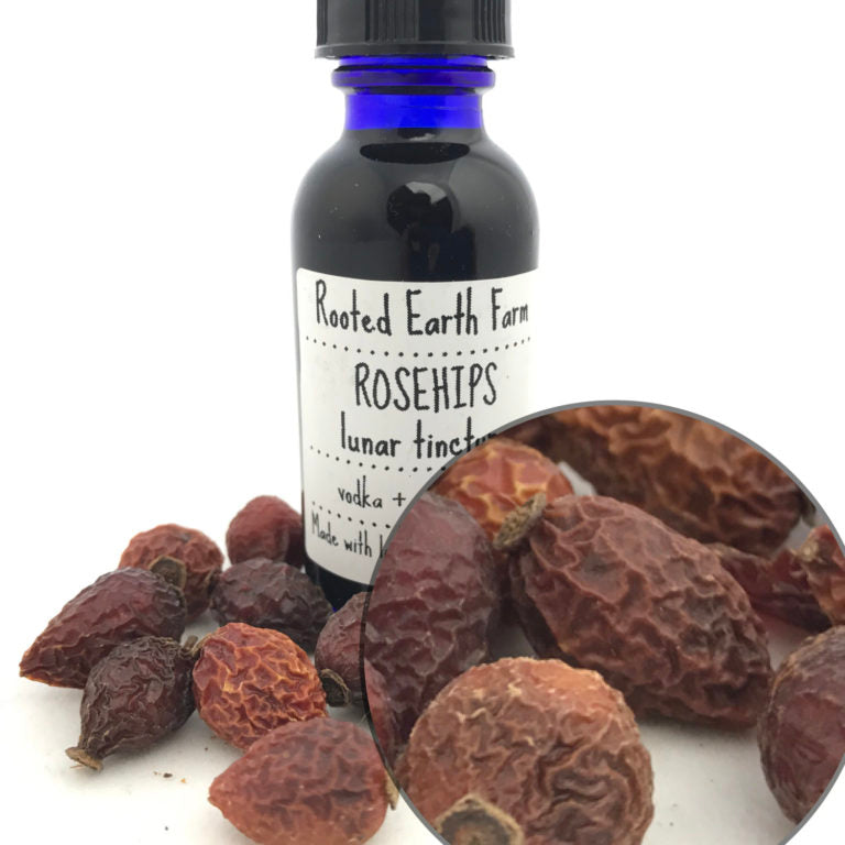 Organic Rose Hips Tincture