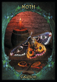 Witches' Familiars Oracle Cards