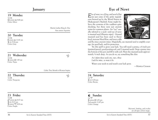 Llewellyn's 2026 Witches' Datebook