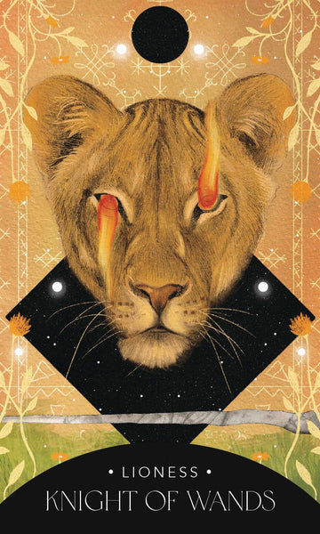 The Symbolic Tarot Deck