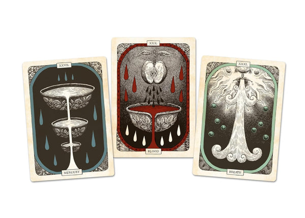 The Black Bird Oracle Deck