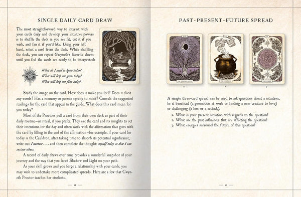 The Black Bird Oracle Deck
