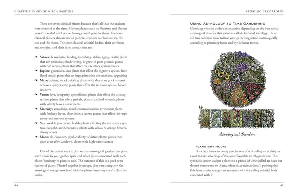 The Green Witch's Garden