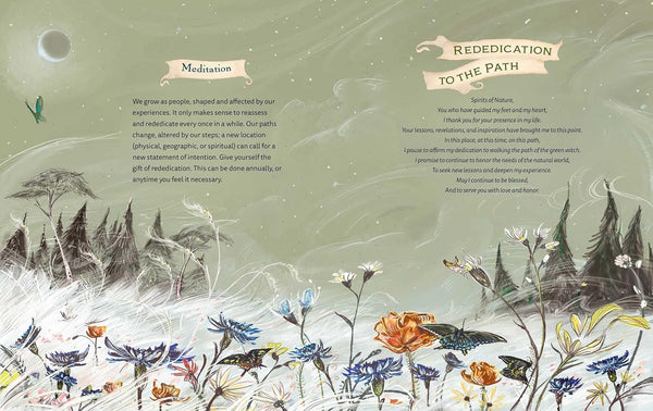 The Green Witch Illustrated