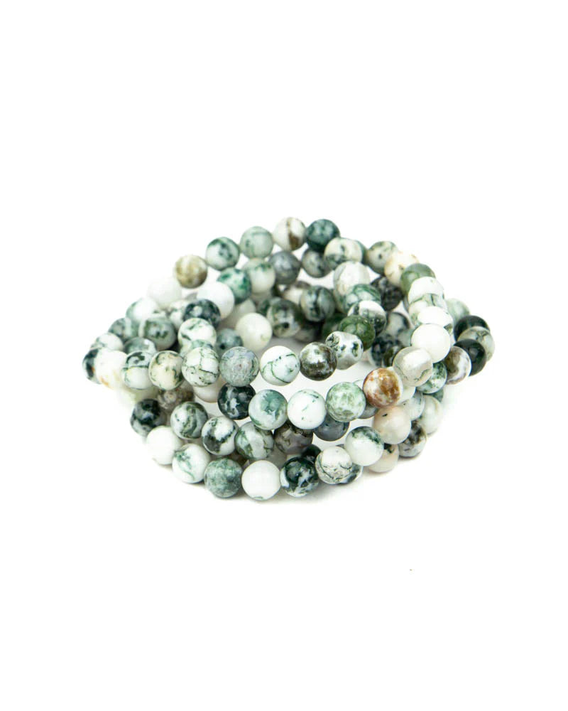 Tree Agate Bracelet - 8mm