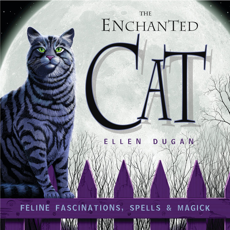 The Enchanted Cat