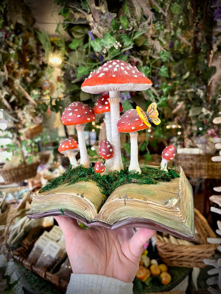 Book of Mushrooms