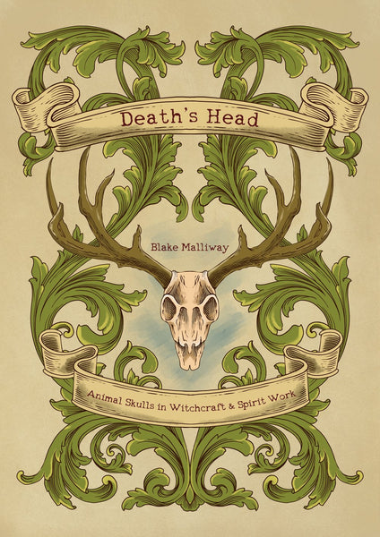 Death’s Head: Animal Skulls in Witchcraft & Spirit Work