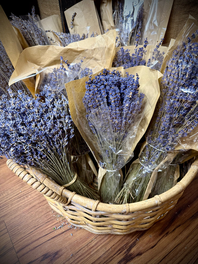 Lavender - Bundle