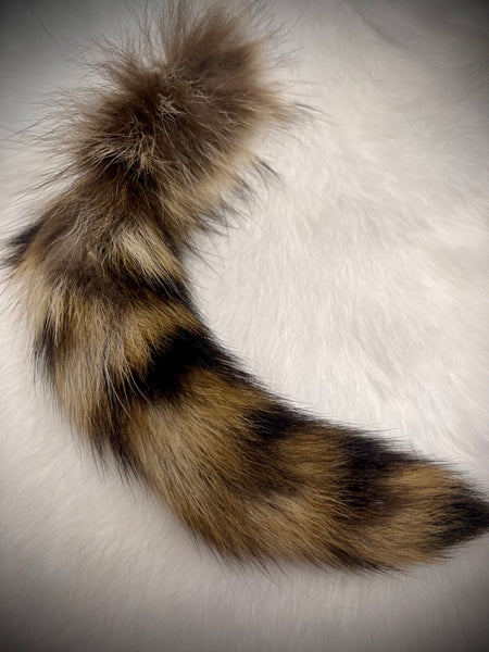 Raccoon Tail