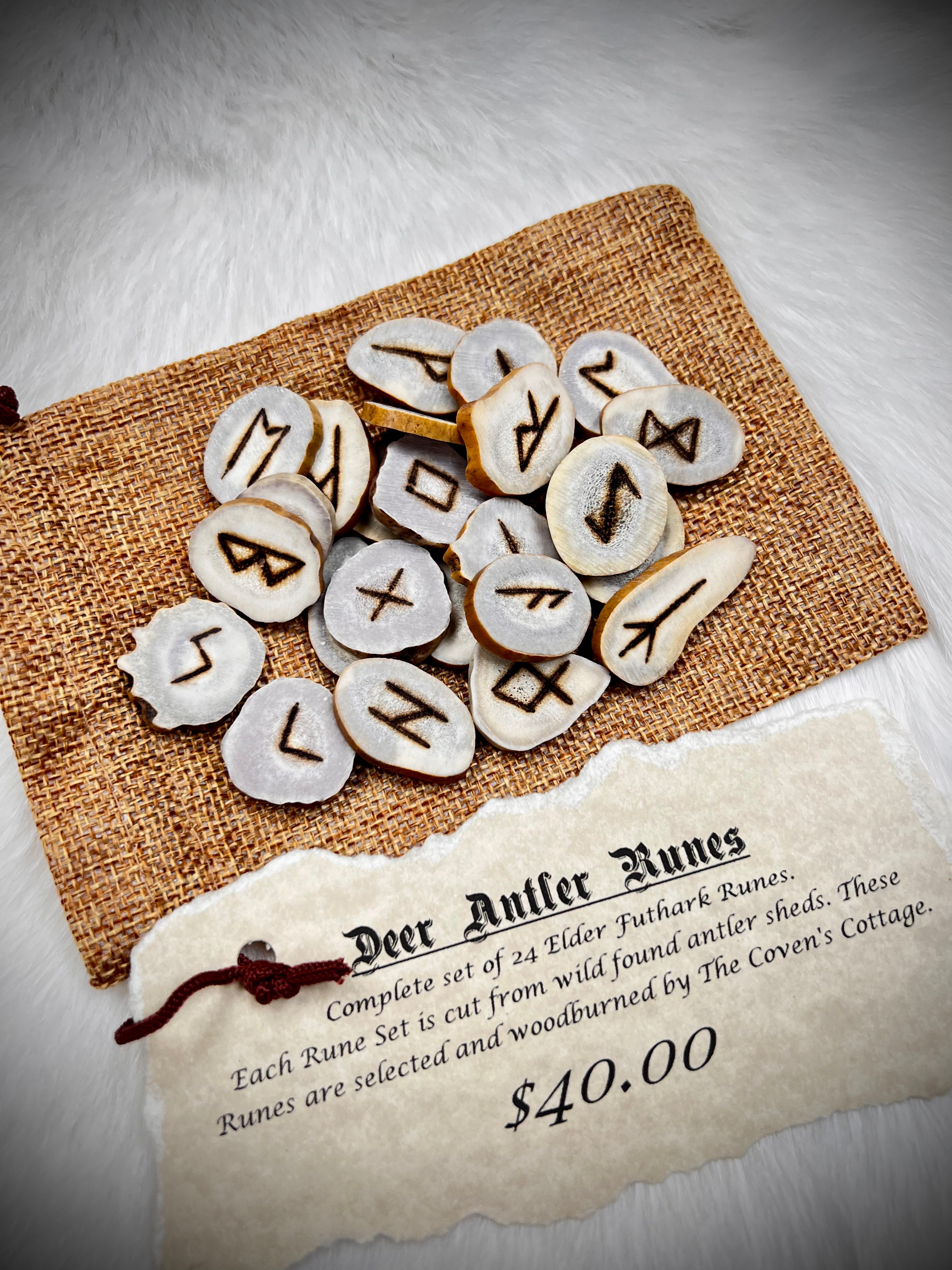 Deer Antler Rune Set - Elder Futhark – The Coven's Cottage