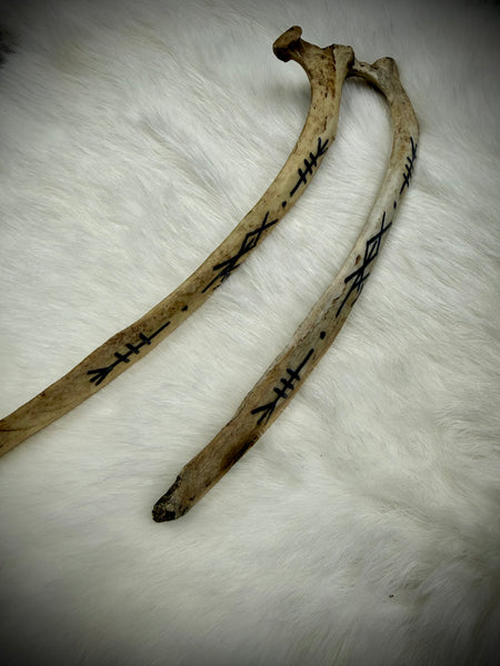 Nordic Fertility Charm - Boar Rib