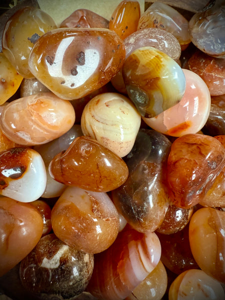 Carnelian - Tumbled