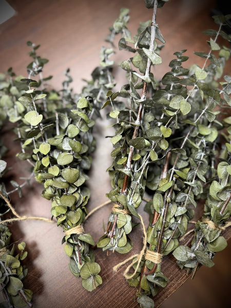 Eucalyptus - Small Bundle