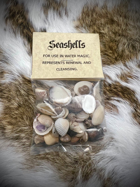 Mixed Seashells - Small - 1 oz. Bag