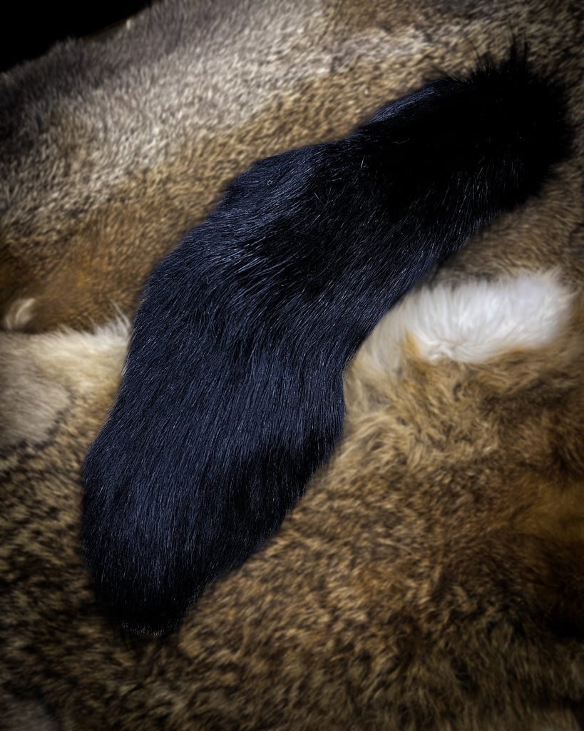 Black Fox Tail