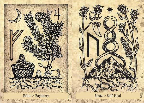 The Runes and Roots Oracle