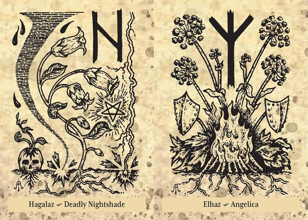 The Runes and Roots Oracle