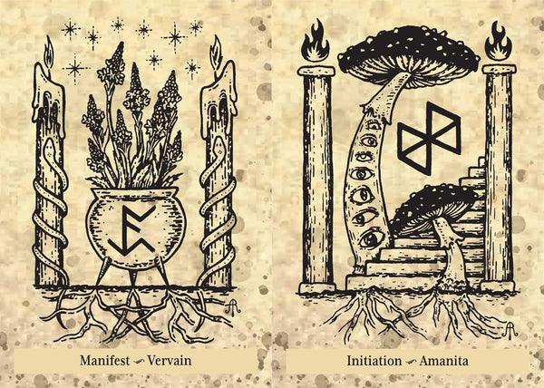 The Runes and Roots Oracle
