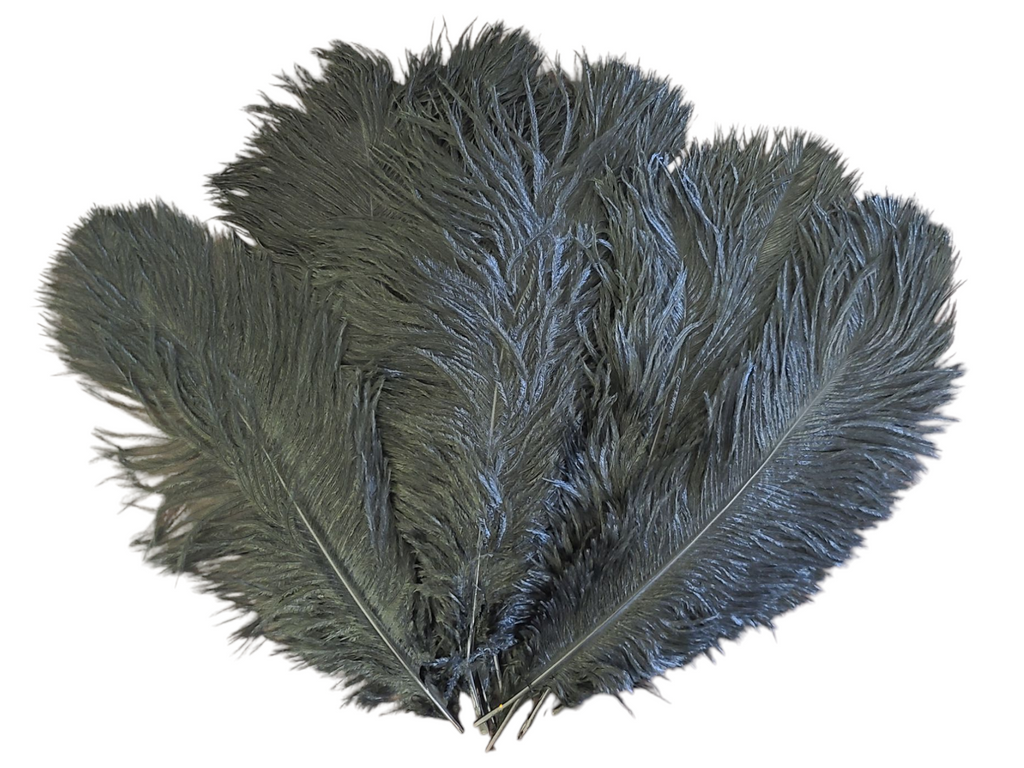 Ostrich Feather