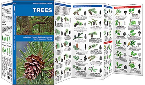 Trees - Laminated Guide